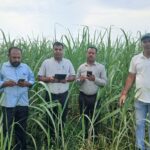 गन्ना विकास विभाग की योजनाओं से किसान हो रहे लाभान्वित, खेती के प्रति बढ़ा रुझान,, बीरेन्द्र चौधरी